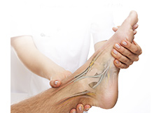 Foot and Ankle Examination