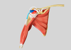 Subacromial Decompression